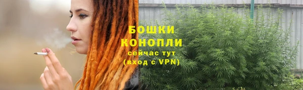 крисы Лагань