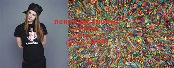 крисы Лагань