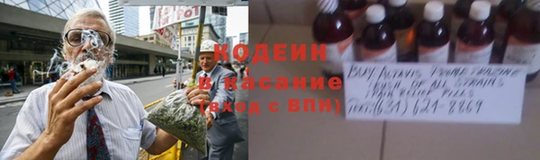 крисы Лагань
