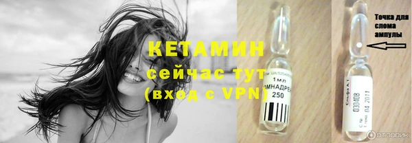 крисы Лагань
