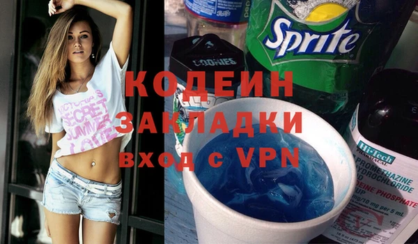 крисы Лагань