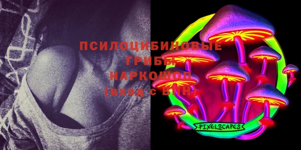крисы Лагань