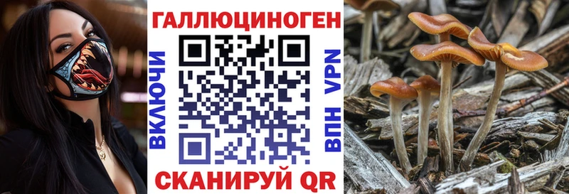 MEGA онион  Верещагино  Галлюциногенные грибы GOLDEN TEACHER 
